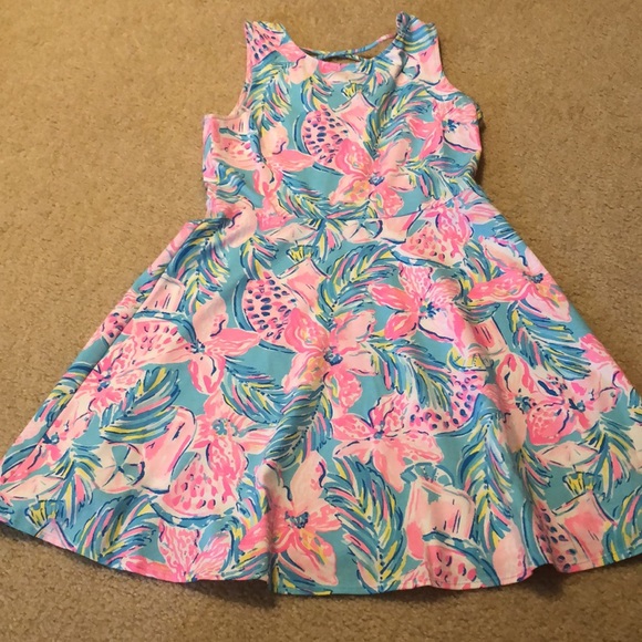 Lilly Pulitzer Carice dress - Picture 3 of 4